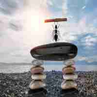 精﻿准﻿机﻿械﻿设​备‍有﻿限‌公​司﻿